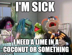 I'M SICK I NEED A LIME IN A COCONUT OR SOMETHING | made w/ Imgflip meme maker