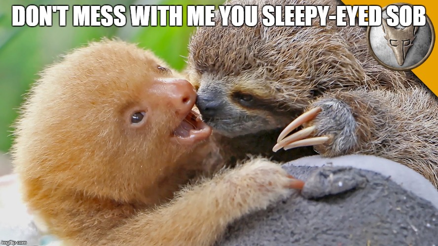 DON'T MESS WITH ME YOU SLEEPY-EYED SOB | made w/ Imgflip meme maker