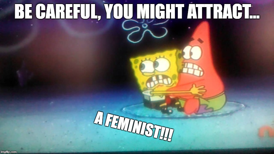 BE CAREFUL, YOU MIGHT ATTRACT... A FEMINIST!!! | made w/ Imgflip meme maker