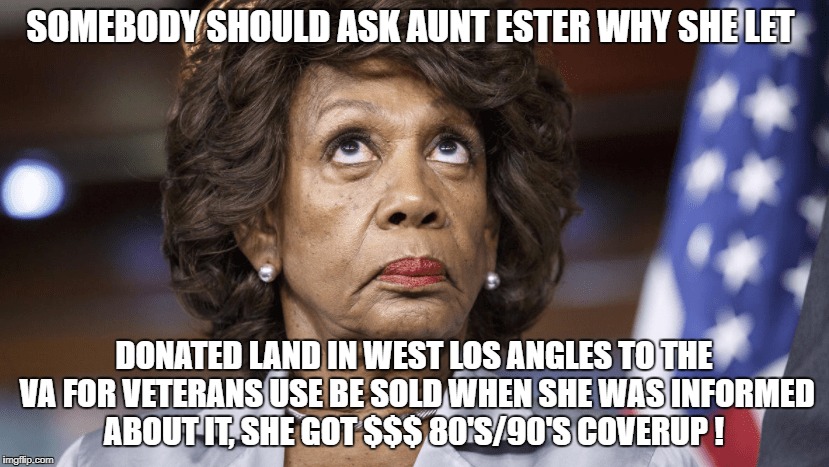 THE FRAUD OF LOS ANGELES EXPOSED | SOMEBODY SHOULD ASK AUNT ESTER WHY SHE LET; DONATED LAND IN WEST LOS ANGLES TO THE VA FOR VETERANS USE BE SOLD WHEN SHE WAS INFORMED ABOUT IT, SHE GOT $$$ 80'S/90'S COVERUP ! | image tagged in maxine waters,the story nobody will touch | made w/ Imgflip meme maker