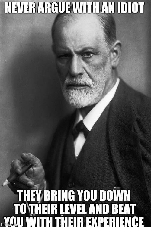 Sigmund Freud Meme |  NEVER ARGUE WITH AN IDIOT; THEY BRING YOU DOWN TO THEIR LEVEL AND BEAT YOU WITH THEIR EXPERIENCE | image tagged in memes,sigmund freud | made w/ Imgflip meme maker