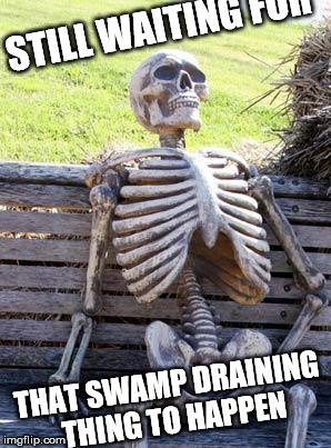Waiting Skeleton | STILL WAITING FOR; THAT SWAMP DRAINING THING TO HAPPEN | image tagged in memes,waiting skeleton | made w/ Imgflip meme maker