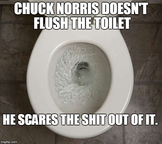 CHUCK NORRIS DOESN'T FLUSH THE TOILET HE SCARES THE SHIT OUT OF IT. | made w/ Imgflip meme maker