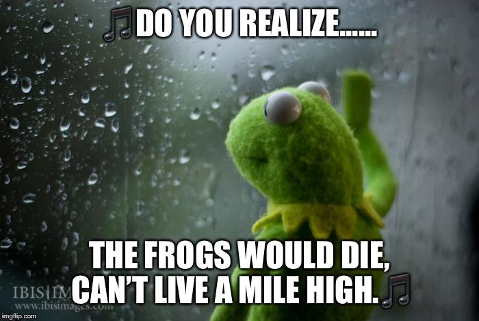 Sad Kermit Frog Window Rain | 🎵DO YOU REALIZE...... THE FROGS WOULD DIE, CAN’T LIVE A MILE HIGH.🎵 | image tagged in sad kermit frog window rain | made w/ Imgflip meme maker
