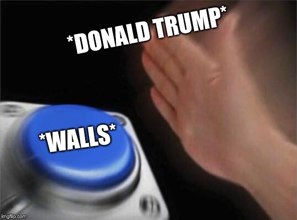Blank Nut Button | *DONALD TRUMP*; *WALLS* | image tagged in memes,blank nut button | made w/ Imgflip meme maker