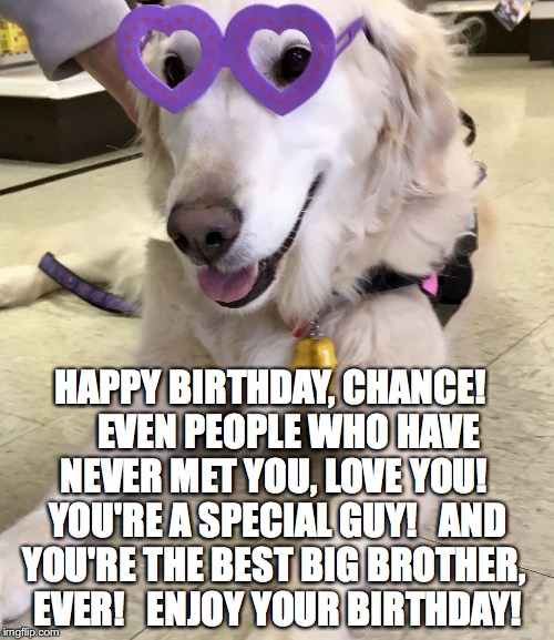 HAPPY BIRTHDAY, CHANCE!     EVEN PEOPLE WHO HAVE NEVER MET YOU, LOVE YOU!  YOU'RE A SPECIAL GUY!   AND YOU'RE THE BEST BIG BROTHER,  EVER!   ENJOY YOUR BIRTHDAY! | image tagged in lily love | made w/ Imgflip meme maker