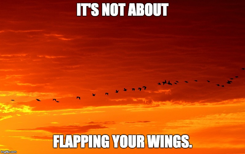 FLY | IT'S NOT ABOUT; FLAPPING YOUR WINGS. | image tagged in motivation | made w/ Imgflip meme maker