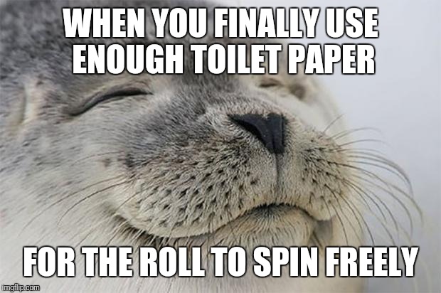 Satisfied Seal Meme | WHEN YOU FINALLY USE ENOUGH TOILET PAPER; FOR THE ROLL TO SPIN FREELY | image tagged in memes,satisfied seal,AdviceAnimals | made w/ Imgflip meme maker