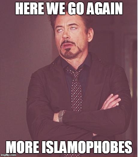 Face You Make Robert Downey Jr | HERE WE GO AGAIN; MORE ISLAMOPHOBES | image tagged in memes,face you make robert downey jr,islamophobia,anti-islamophobia,persecution,anti-persecution | made w/ Imgflip meme maker