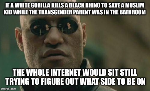 Matrix Morpheus | IF A WHITE GORILLA KILLS A BLACK RHINO TO SAVE A MUSLIM KID WHILE THE TRANSGENDER PARENT WAS IN THE BATHROOM; THE WHOLE INTERNET WOULD SIT STILL TRYING TO FIGURE OUT WHAT SIDE TO BE ON | image tagged in memes,matrix morpheus | made w/ Imgflip meme maker