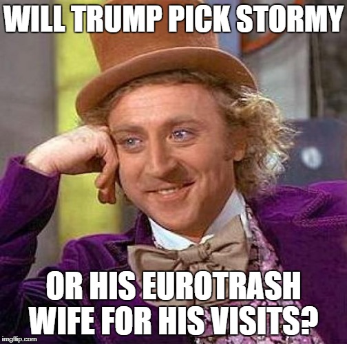 Creepy Condescending Wonka Meme | WILL TRUMP PICK STORMY OR HIS EUROTRASH WIFE FOR HIS VISITS? | image tagged in memes,creepy condescending wonka | made w/ Imgflip meme maker