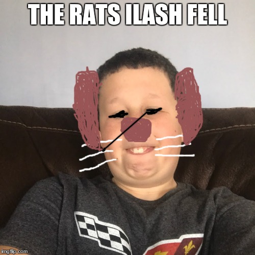 the ratlash | THE RATS ILASH FELL | image tagged in funny | made w/ Imgflip meme maker