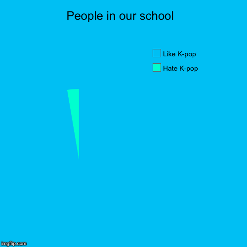 This is a pure blood Washington high school  | People in our school  | Hate K-pop, Like K-pop | image tagged in funny,pie charts,k-pop | made w/ Imgflip chart maker