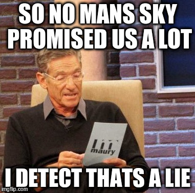 Maury Lie Detector Meme | SO NO MANS SKY PROMISED US A LOT; I DETECT THATS A LIE | image tagged in memes,maury lie detector | made w/ Imgflip meme maker