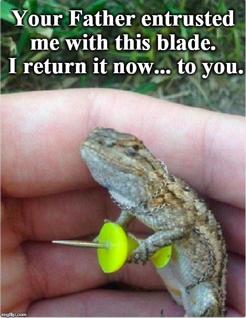 LIzardo: Promises to Keep | Your Father entrusted me with this blade.  I return it now... to you. | image tagged in vince vance,lizard with tack,lizard with push pin,lizard with thumb tack,a lizard who kept his promise,lizard in chains | made w/ Imgflip meme maker