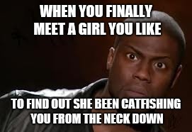 Kevin Hart | WHEN YOU FINALLY MEET A GIRL YOU LIKE; TO FIND OUT SHE BEEN CATFISHING YOU FROM THE NECK DOWN | image tagged in memes,kevin hart the hell | made w/ Imgflip meme maker