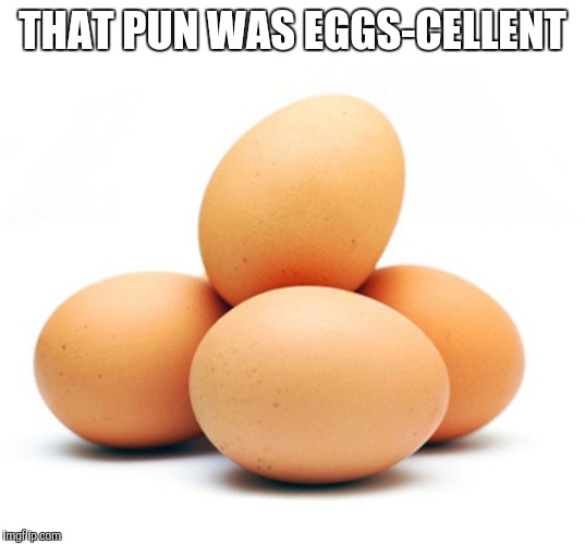 THAT PUN WAS EGGS-CELLENT | made w/ Imgflip meme maker