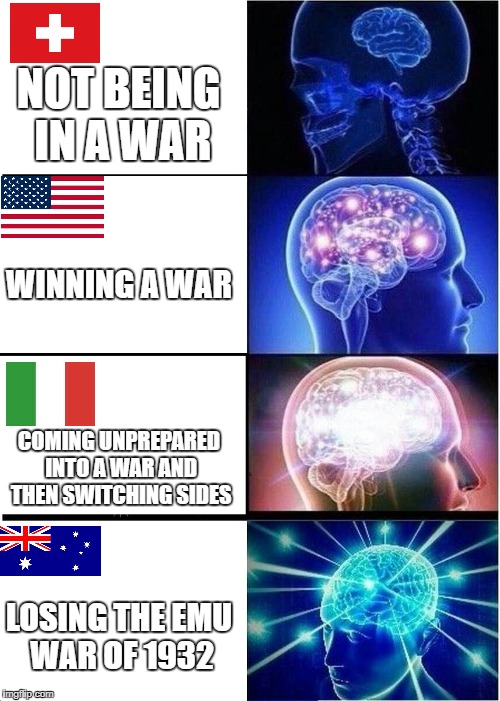 they're big birds tbf | NOT BEING IN A WAR; WINNING A WAR; COMING UNPREPARED INTO A WAR AND THEN SWITCHING SIDES; LOSING THE EMU WAR OF 1932 | image tagged in memes,expanding brain,war,usa,america | made w/ Imgflip meme maker