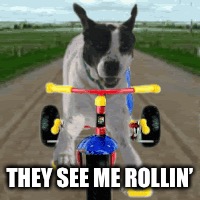 THEY SEE ME ROLLIN’ | made w/ Imgflip meme maker