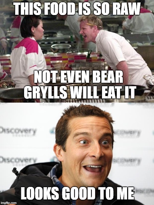 What will a Bear eat? | THIS FOOD IS SO RAW; NOT EVEN BEAR GRYLLS WILL EAT IT; LOOKS GOOD TO ME | image tagged in bear grylls,chef gordon ramsay | made w/ Imgflip meme maker