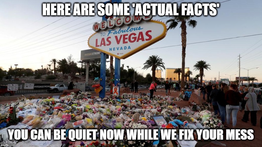 Too Many Guns | HERE ARE SOME 'ACTUAL FACTS' YOU CAN BE QUIET NOW WHILE WE FIX YOUR MESS | image tagged in too many guns | made w/ Imgflip meme maker