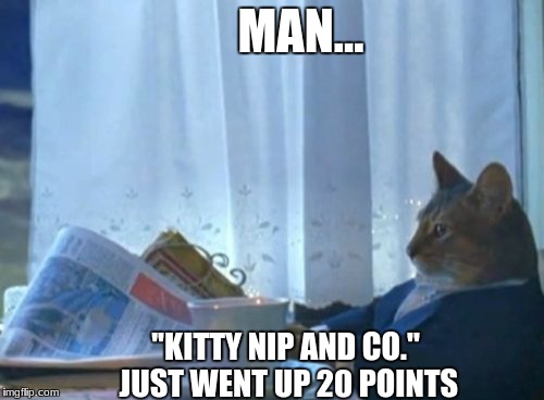 I Should Buy A Boat Cat Meme | MAN... ''KITTY NIP AND CO.'' JUST WENT UP 20 POINTS | image tagged in memes,i should buy a boat cat | made w/ Imgflip meme maker