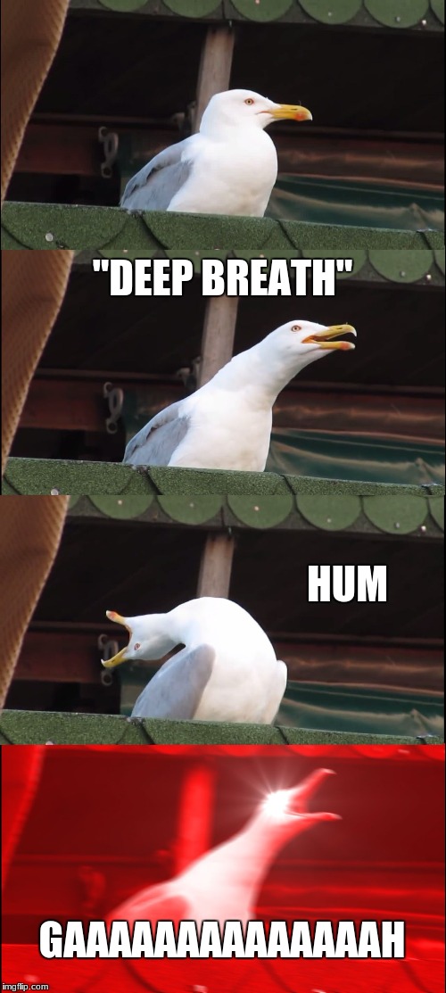 Inhaling Seagull Meme | ''DEEP BREATH''; HUM; GAAAAAAAAAAAAAAH | image tagged in memes,inhaling seagull | made w/ Imgflip meme maker