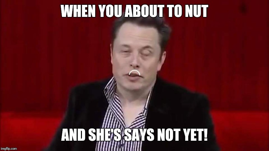 WHEN YOU ABOUT TO NUT; AND SHE'S SAYS NOT YET! | image tagged in musky | made w/ Imgflip meme maker