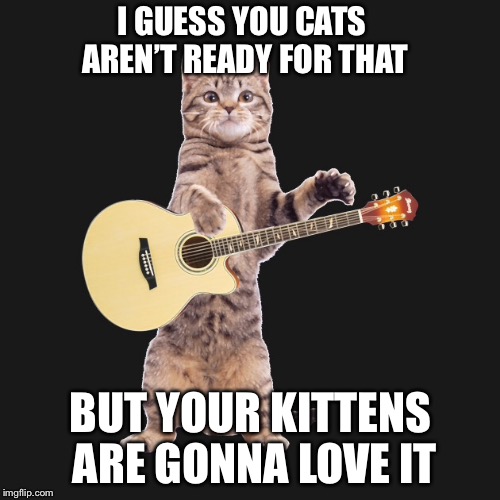 I GUESS YOU CATS AREN’T READY FOR THAT BUT YOUR KITTENS ARE GONNA LOVE IT | made w/ Imgflip meme maker