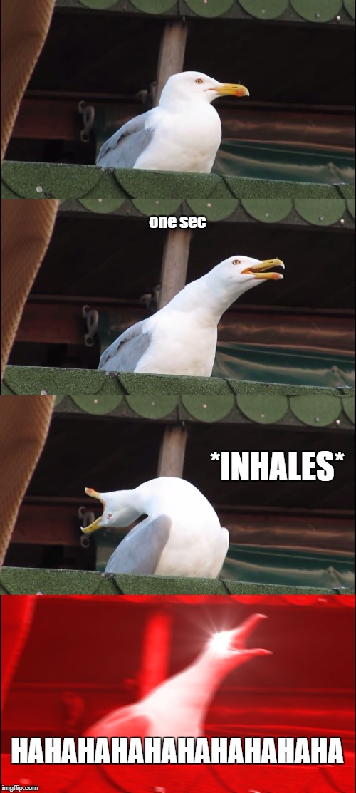 Inhaling Seagull | one sec; *INHALES*; HAHAHAHAHAHAHAHAHAHA | image tagged in memes,inhaling seagull | made w/ Imgflip meme maker