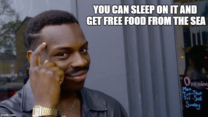 Roll Safe Think About It Meme | YOU CAN SLEEP ON IT AND GET FREE FOOD FROM THE SEA | image tagged in memes,roll safe think about it | made w/ Imgflip meme maker