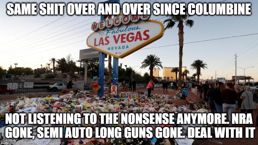 Too Many Guns | SAME SHIT OVER AND OVER SINCE COLUMBINE NOT LISTENING TO THE NONSENSE ANYMORE. NRA GONE, SEMI AUTO LONG GUNS GONE. DEAL WITH IT | image tagged in too many guns | made w/ Imgflip meme maker