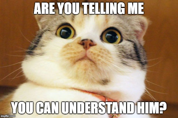 ARE YOU TELLING ME; YOU CAN UNDERSTAND HIM? | made w/ Imgflip meme maker