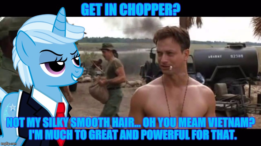 GET IN CHOPPER? NOT MY SILKY SMOOTH HAIR... OH YOU MEAM VIETNAM?  I'M MUCH TO GREAT AND POWERFUL FOR THAT. | made w/ Imgflip meme maker