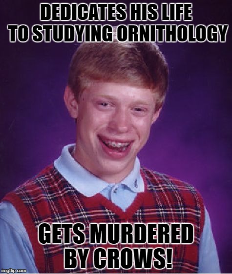 Bad Luck Bird Brain | DEDICATES HIS LIFE TO STUDYING ORNITHOLOGY; GETS MURDERED BY CROWS! | image tagged in memes,bad luck brian | made w/ Imgflip meme maker