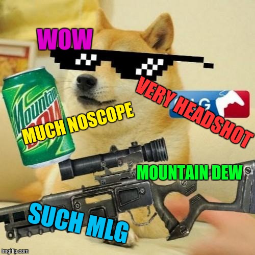 mlg doge | WOW; VERY HEADSHOT; MUCH NOSCOPE; MOUNTAIN DEW; SUCH MLG | image tagged in mlg doge | made w/ Imgflip meme maker
