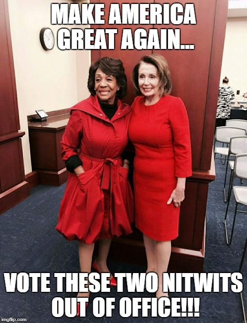 Nitwit queens! | MAKE AMERICA GREAT AGAIN... VOTE THESE TWO NITWITS OUT OF OFFICE!!! | image tagged in dumb and dumber | made w/ Imgflip meme maker