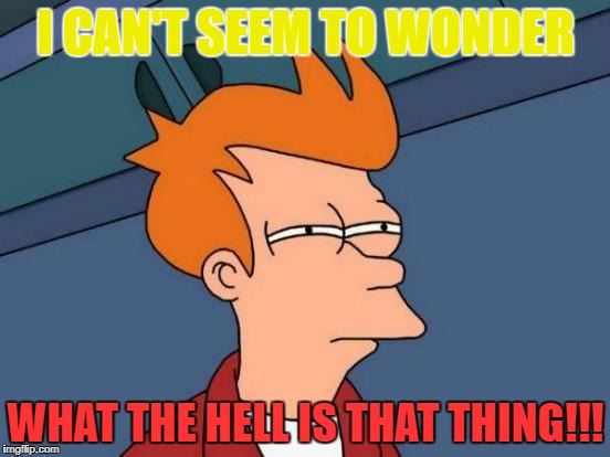 Futurama Fry Meme | I CAN'T SEEM TO WONDER; WHAT THE HELL IS THAT THING!!! | image tagged in memes,futurama fry | made w/ Imgflip meme maker
