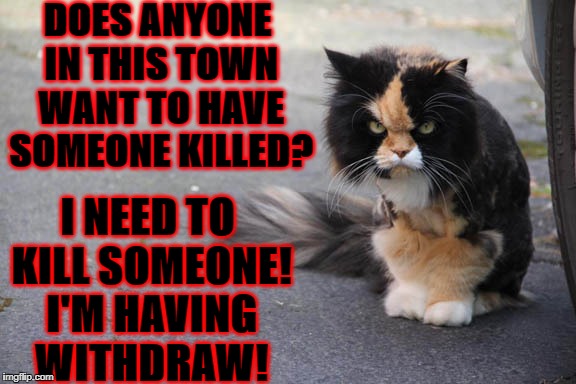 DOES ANYONE IN THIS TOWN WANT TO HAVE SOMEONE KILLED? I NEED TO KILL SOMEONE! I'M HAVING WITHDRAW! | image tagged in murderer cat | made w/ Imgflip meme maker