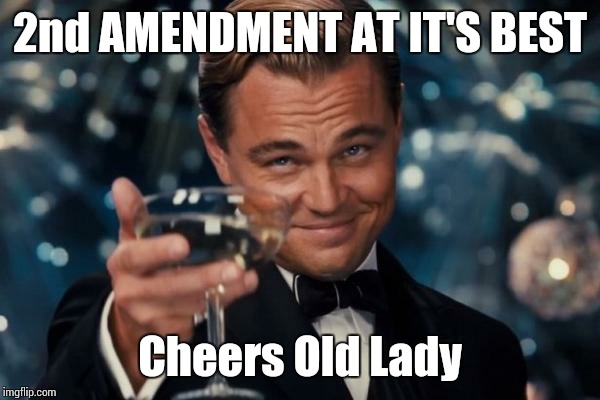 Leonardo Dicaprio Cheers Meme | 2nd AMENDMENT AT IT'S BEST Cheers Old Lady | image tagged in memes,leonardo dicaprio cheers | made w/ Imgflip meme maker