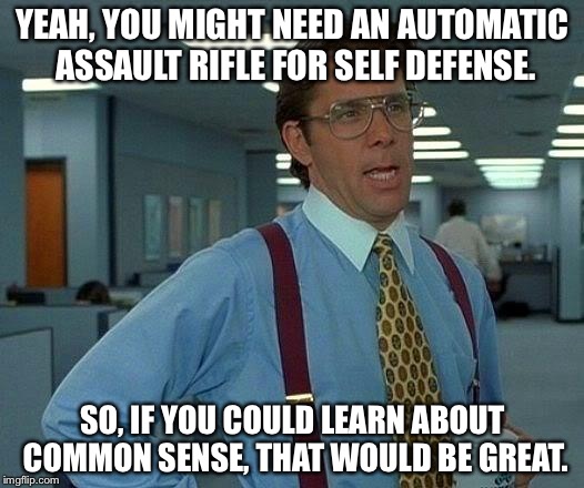 YEAH, YOU MIGHT NEED AN AUTOMATIC ASSAULT RIFLE FOR SELF DEFENSE. SO, IF YOU COULD LEARN ABOUT COMMON SENSE, THAT WOULD BE GREAT. | image tagged in memes,that would be great | made w/ Imgflip meme maker