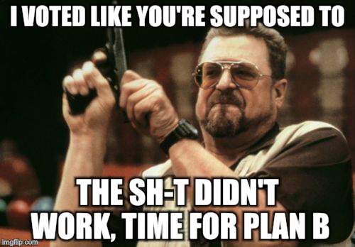 Am I The Only One Around Here | I VOTED LIKE YOU'RE SUPPOSED TO; THE SH-T DIDN'T WORK, TIME FOR PLAN B | image tagged in memes,am i the only one around here | made w/ Imgflip meme maker