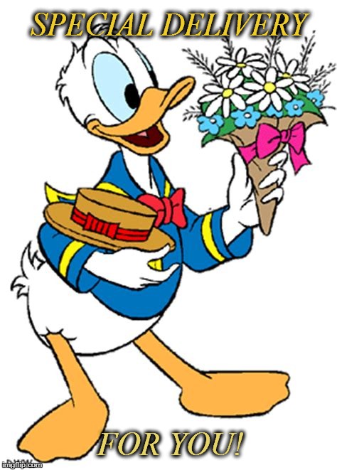 Donald Duck  | SPECIAL DELIVERY; FOR YOU! | image tagged in donald duck | made w/ Imgflip meme maker