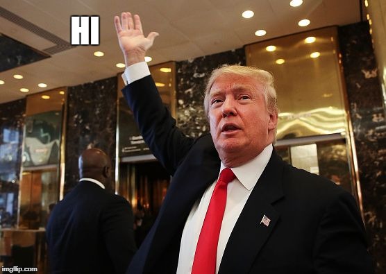 Trump catch | HI | image tagged in trump catch | made w/ Imgflip meme maker