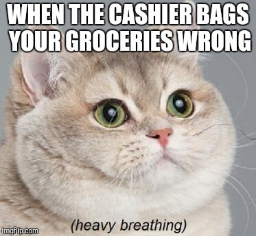 Heavy Breathing Cat | WHEN THE CASHIER BAGS YOUR GROCERIES WRONG | image tagged in memes,heavy breathing cat | made w/ Imgflip meme maker