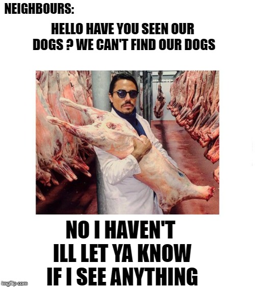 Hello have you seen our dogs ?  | NEIGHBOURS:; HELLO HAVE YOU SEEN OUR DOGS ? WE CAN'T FIND OUR DOGS; NO I HAVEN'T ILL LET YA KNOW IF I SEE ANYTHING | image tagged in dogs | made w/ Imgflip meme maker