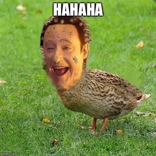 The Data Ducky | HAHAHA | image tagged in the data ducky | made w/ Imgflip meme maker