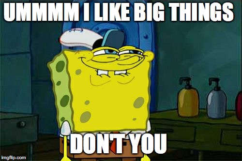 Don't You Squidward Meme | UMMMM I LIKE BIG THINGS; DON'T YOU | image tagged in memes,dont you squidward | made w/ Imgflip meme maker