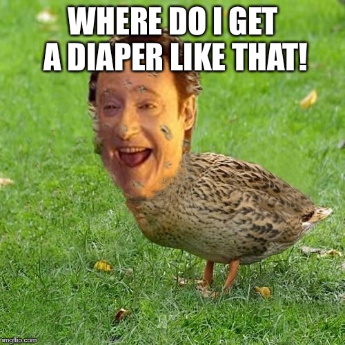 The Data Ducky | WHERE DO I GET A DIAPER LIKE THAT! | image tagged in the data ducky | made w/ Imgflip meme maker