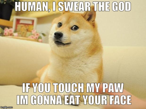 my paw
 | HUMAN, I SWEAR THE GOD; IF YOU TOUCH MY PAW IM GONNA EAT YOUR FACE | image tagged in memes,doge 2 | made w/ Imgflip meme maker